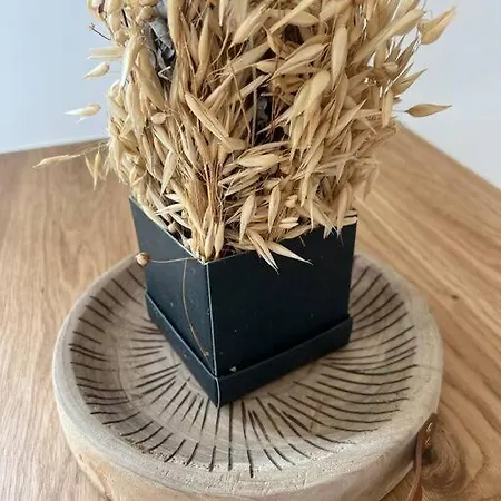 Creme Apartment Manosque