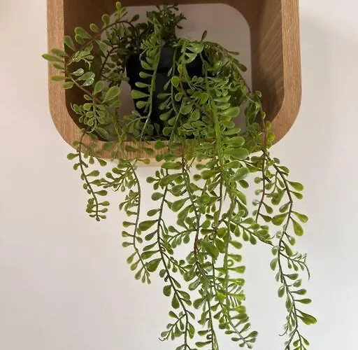 Apartmán Creme Manosque