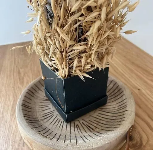 Creme Apartment Manosque